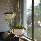 La Jolie Maison 10 Inch Hanging Planters for Indoor Plants, Outdoor Garden Planter Pots with Self-Watering Tray, Eggshell White, Set of 2 - color: Eggshell White