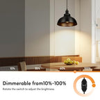 Lightess Black Pendant Lights Dimmable with Plug in Cord and ON/Off Dimmer Switch, Industrial Hanging Kitchen Island Light Fixture, LG9925343 - color: Plug in