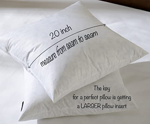 basic home® Hotel-Style Goose Feather Pillow Insert for Sofa & Bed - 100% Odorless & Plump Cushion Filler - 233TC Cotton with Inner Liner to Prevent Poking (20x20 Inch) - size: 20x20