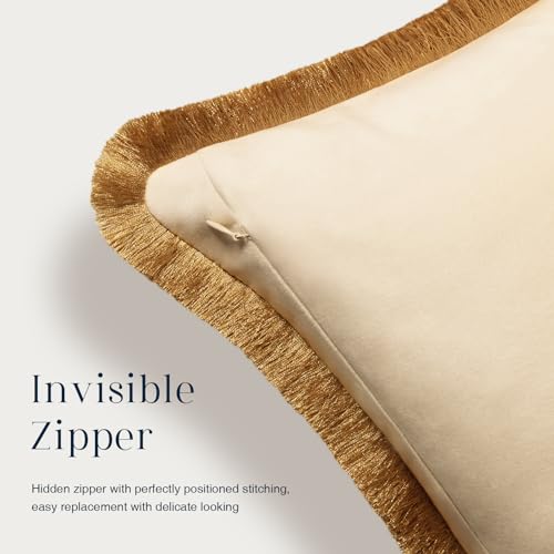 Phantoscope Pack of 2 Velvet Decorative Throw Pillow Covers, Double-Sided Tassel Trimmed Design, Soft Luxury Velvet Pillows Square Cushion Case for Couch Sofa Bed, Beige, 18 x 18 inches 45 x 45 cm - color: Beige/Cream