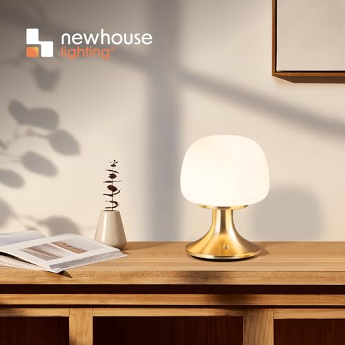 ‎Newhouse Lighting Verona, Brass 2700K Dimmable Cordless USB-C Rechargeable Glass Table Lamp NHTL-VE-BRS, Cordless Desk Lamp for Living Room, Bedroom, Coffee Table, and Other Cozy Home Decor - style: Verona Table Lamp