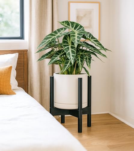 D'vine Dev Ceramic Planter with Ebony Stand - 8 Inch Modern Round Flower Pot with Wood Planter Holder, Oatmeal, 55-B-M-8 - color: Oatmeal Pot + Ebony Stand, size: 8 Inch