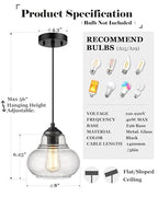ELYONA 8 Inch Globe Pendant Light Bubble Glass Industrial Kitchen Island Hanging Pendant Light Fxiture Modern Hand Blown Seeded Glass for Farmhouse Dining Room Bar Bedroom Living Room Black - color: Black