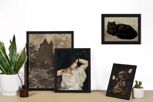 ANERZA 16 PCS Framed Dark Academia Room Decor, Gothic Home Decor, Moody Wall Art Prints for Bedroom, Gallery Wall Frame Set, Witchy Posters for Living Room Aesthetic, Halloween Dorm Collage Kit - color: Gothic black, size: 12"x15" Framed