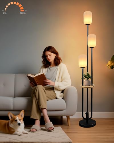 Floor Lamp for Living Room, Dimmable Vintage Floor Lamp with Shelf & LED Bulbs, 3 Light 3000K Soft Warmwhite Mid Century Standing Lamp, Tall Lamps with 5Lbs Heavy Base for Bedroom Home Decor - color: Oval-Black