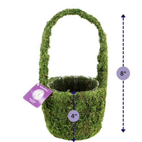 SuperMoss (55591) Vista Deco Moss Basket – Decorative Planter with Liner for Indoor & Outdoor Floral Arrangements – Ideal for Succulents, Orchids & Gifts, Small 4.5″ x 5.5″ x 8″, Fresh Green