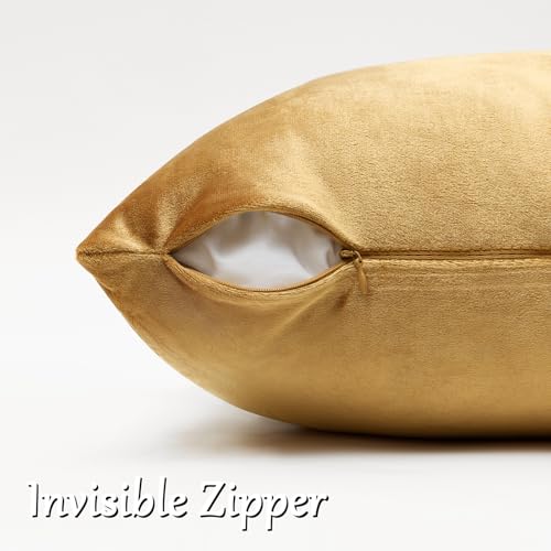 GIGIZAZA Golden Throw Pillow Covers 16x16 Decorative Velvet Cushion Covers Pack of 2 Pillowcase for Sofa - color: Golden, size: 16" x 16" (Pack of 2)