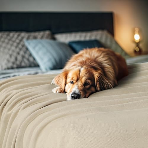 Utopia Bedding Knit Blanket King Size (90x102 Inches, Camel) Soft Lightweight Jersey Breathable Sweatshirt Blanket for Bed,Couch & Sofa - color: Camel, size: King