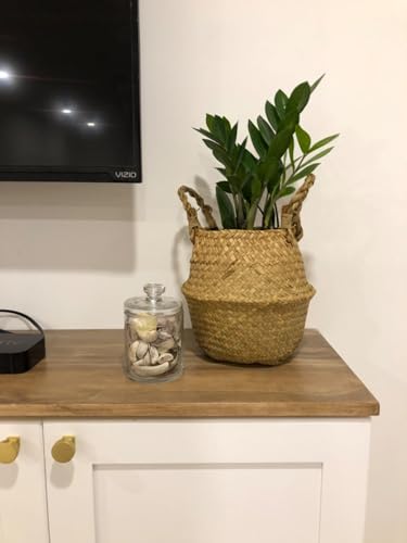 DOKOT Seagrass Plant Basket with Handles, Woven Storage Basket, 7inch Diameter x 8inch Height - size: S(7“ D x 8" H)