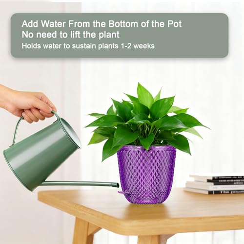 QCQHDU Hanging Planters for Indoor Plants, 2-Pack, 7.2 Inch, Purple | Plastic, Self Watering Plant Hanger, with Drainage Holes, 3 Hooks Chains, For Garden Home - color: Purple, size: 7.2in
