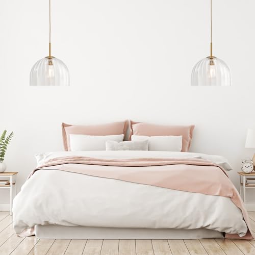 Modern Pendant Lights Kitchen Island, 11.8 Inch Dome Lampshade Large Chandelier, Rustic Farmhouse Industrial Ceiling Hanging LED Lighting Fixture with Clear Glass Bell Shade - color: Clear, size: 30CM