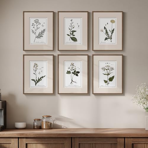 Framed Vintage Botanical Wall Art, 6 Piece Rustic Floral Canvas Painting Prints Artwork for Kitchen Walls, Neutral Flower Pictures for Living Room Bedroom Dining Room Farmhouse Wall Decor, 11x14 - color: Herbarium - Walnut Framed, size: 11" W x 14" H x 6P