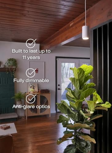 Aspect Soltech Gen 2 – World’s First Decor Grow Light | White High-Output LED Pendant Grow Light for Indoor Plants | Warm White, Natural Light | Dimmable - color: White