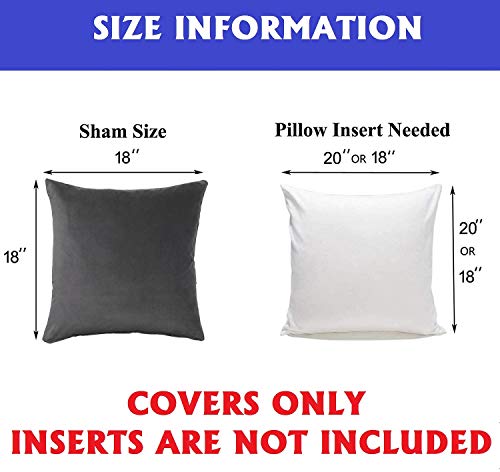 Elegant Comfort POM-POMS Fringe Velvet Cushion Covers Set of 2, Velvet Soft Solid Decorative Square Throw Pillow Covers Set Cushion Case for Couch Bed, Livingroom 20 x 20 Inch (50 x 50 cm), Burgundy - color: Burgundy, size: 20" x 20" (Pack of 2)