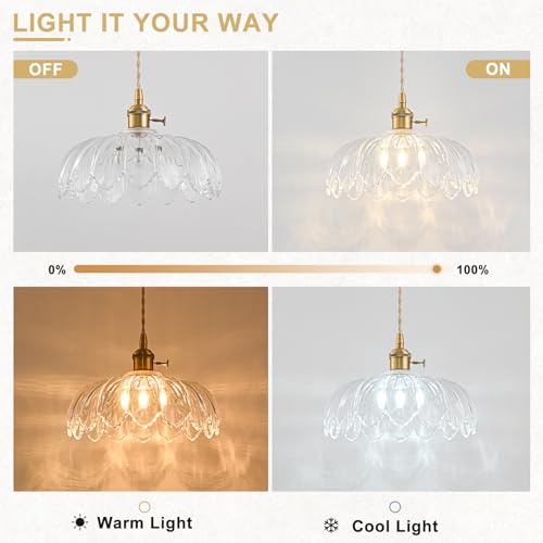 Pendant Light Fixture - color: Hibiscus Transparent