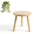 Wood Plant Stands Indoor, Single Plant Stand Modern Plant Table for Large Plants, Wooden Plant Stool Tall Plant Holder Small Round Side/End Table for Living Room Balcony Office (Light Brown) - color: Light Brown
