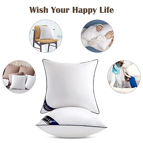 Siluvia 24x24 Pillow Inserts Set of 2 Square Throw 24 Euro Pillows with 100% Cotton Cover for Sofa, Couch, and Bed - White - size: 24x24 Inch (Pack of 2)