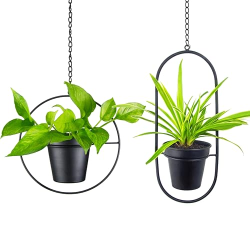 Modern Metal Hanging Planters Set of 2 - Round and Oval Geometric Plant Hangers with 5 Inch Pots - Black Wall and Ceiling Mount Flower Holders for Indoor and Covered Outdoor Décor - size: CIRCLE +OVAL - 5 INCH POT