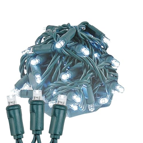 Novelty Lights 25ft 50 LED Pure White Christmas Lights Outdoor/Indoor, 6" Spacing, Green Wire String Lights for Festive Xmas Lighting, IP55, UL Listed, Dimmable, Connectable - color: Pure White