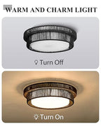 HWH 18'' Boho Ceiling Light Fixture with Remote Control, 36W 5CCT LED Coastal Lighting, Black Finish, 5HYS78LF-LED BK - color: Black, size: 18 Inch