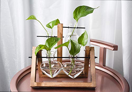 Kingbuy Glass Desktop Planter with Retro Wooden Stand and Plant Terrarium Vase (2 Hearts) for Indoor Home Office Desk Decor Accessories - size: Heart 2 Bulb