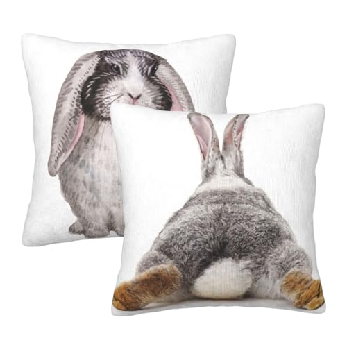 Easter Bunny Throw Pillow Covers 18 X 18 Inch Set of 2 Pillow Cases Decoration Cushion Cover for Sofa Bedroom Living Room Outdoor - color: Easter Bunny