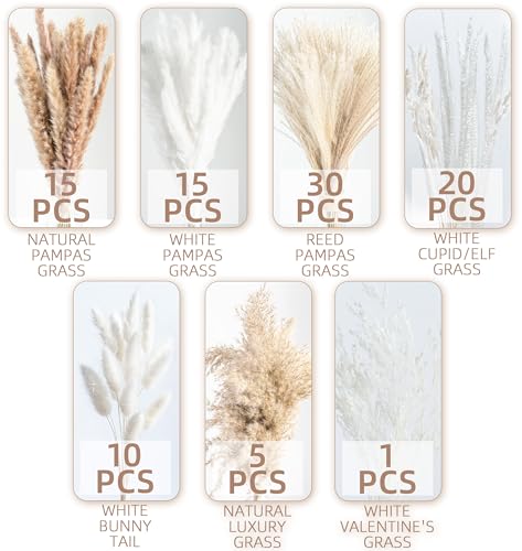 96PCS Natural Dried Pampas Grass Boho Home Decor Bouquet Phragmites Dried Flowers Bouquet for Wedding Floral Arrangements Living Room Decorations (96PCS) - size: 96 Pcs