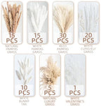 96PCS Natural Dried Pampas Grass Boho Home Decor Bouquet Phragmites Dried Flowers Bouquet for Wedding Floral Arrangements Living Room Decorations (96PCS) - size: 96 Pcs