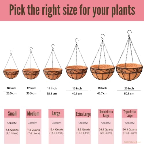 LaLaGreen Hanging Planter for Outdoor Plants (10 Inch, 2 Pack) Hanging Baskets with Coco Liner, Black Metal Wire Flower Basket Pots with Hook Hanger Balcony Porch Farmhouse Country Style Garden Decor - size: 10" x 2 Pack