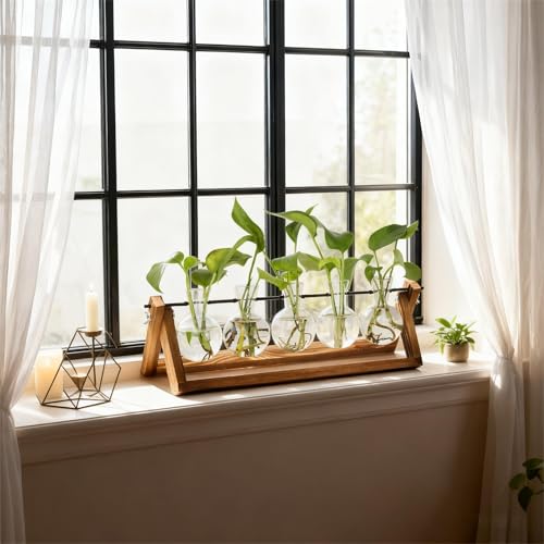 Renmxj Plant Propagation Stations with Wooden Stand & 5 Glass Bulb Vases | Plant Terrarium for Indoor Plants, Home Office Desk Decor, Gardening Gifts for Women Mom, Birthday Gifts for Plants Lovers - size: 5 Bulb Vase