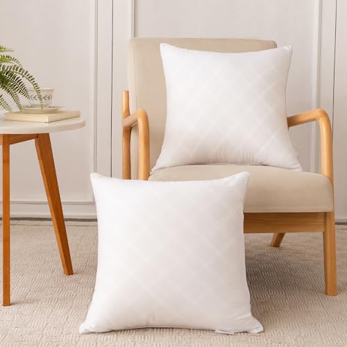 Oubonun 18x18 Inches Pack of 2 Throw Pillows Inserts, White Square Cushion Inner Soft Fluffy Plump Stuffer Pillows Inserts for Sofa Bed Couch - size: 18×18 inch