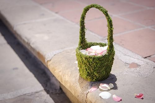 SuperMoss (55591) Vista Deco Moss Basket – Decorative Planter with Liner for Indoor & Outdoor Floral Arrangements – Ideal for Succulents, Orchids & Gifts, Small 4.5″ x 5.5″ x 8″, Fresh Green