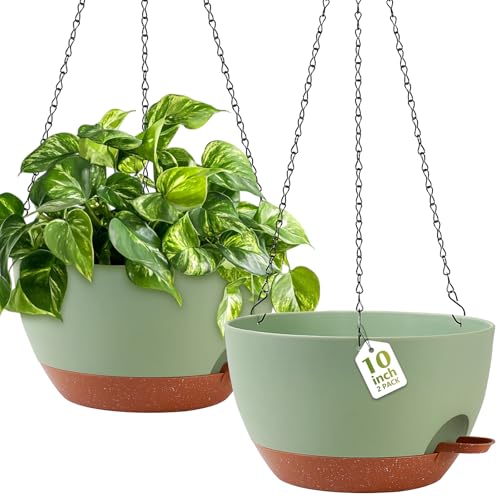 GARDIFE Hanging Planters for Indoor Outdoor Plants, 2 Pack Self Watering Hanging Pot with Drainage Holes & Removable Tray (Green, 10 inch) - color: Green, size: 10 inch