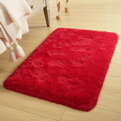 DETUM Small Red Rug 2x3 Fluffy Area Rug for Bedroom Kitchen Entryway Hallway Washable Super Soft Throw Carpet for College Dorm Plush Rugs for Kids - color: Red, size: 2 x 3 feet