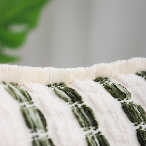 LUOYEHK Chenille Striped Throw Pillow Covers 12x20 Inch Set of 2 Boho Decorative Pillowcases with Fringe Farmhouse Neutral Green and Beige Cushion Covers for Couch Sofa Bed Living Room - color: Green and Beige, size: 20" x 12" (Pack of 2)