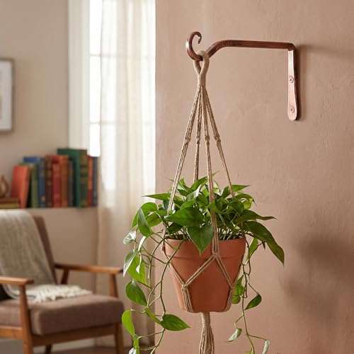 FEED GARDEN 2 Pack 10 Inch Hanging Plant Bracket Wall Hooks Decorative Plant Hangers for Outdoor Hanging Bird Feeders, Wind Chimes, Plant Baskets, Antique Bronze - color: Antique Bronze, size: 10 Inch