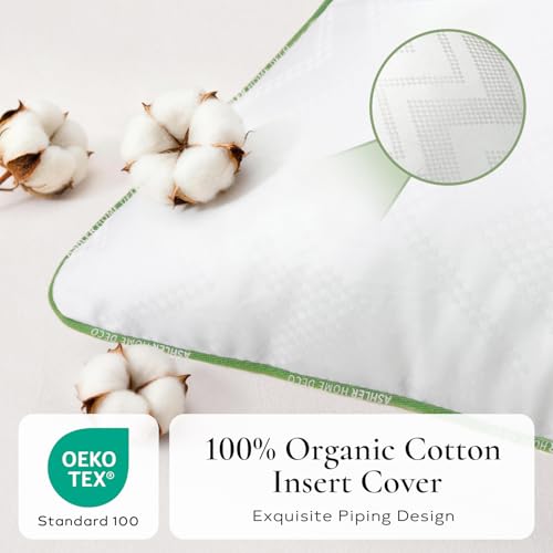 Ashler 24x24 Pillows Insert (Set of 2) - Throw Pillow Inserts with 100% Cotton Cover - 24 Inch Square Interior Sofa Stuffer Pillow Inserts -Decorative White Couch Pillow - size: 24x24 Inch