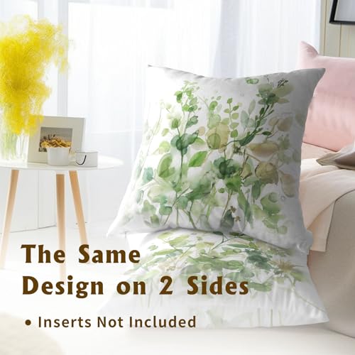 Spring Sage Green Pillow Covers 16x16 Inch Set of 2, Eucalyptus Leaf Watercolor Throw Pillow Covers Square Cotton Cushion Cover for Home Couch Sofa Patio Bedroom Livingroom - color: Eucalyptus Leaf231219, size: 16" x 16" (Pack of 2)