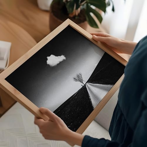 Monem Art Single Cloud in the Sky Print - Stranger Distance Poster - Black & White Art - Monochrome Office or Living Room Decor - 8x10 Unframed Wall Art by Adam Dauria - color: Style-08, size: 8"L x 10"W