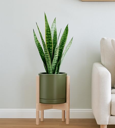 D'vine Dev Ceramic Planter with Natural Stand - 8 Inch Modern Round Flower Pot with Wood Planter Holder, Olive, 55-B-N-J - color: Olive Pot + Natural Stand, size: 8 Inch