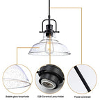 Zlepmlla Glass Pendant Light，Black Pendant Light Fixtures with Seeded Glass Shade, Adjustable Height Hanging Lights for Hallway, Kitchen Island, Dinning Room（Bulb not Included） - color: Black