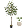 Warmplants Artificial Eucalyptus Tree, 6ft Tall Fake Eucalyptus Plant with Basket, Green Silver Dollars Silk Leaves Faux Tree for Home Office Livingroom Floor Decor Indoor - size: 6ft