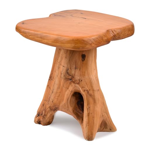 Small Side Table, Freeform Live Edge Wood Stool, Unique Design Natural Plant Stand for Patio, Garden, Yard, Living Room, Bedroom - size: 14"D x 13"W x 14.5"H