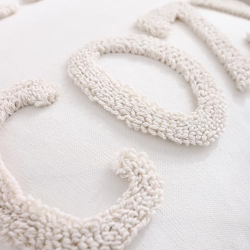 LUOYEHK Embroidered Stay Cozy Pillow Covers 20x20 Inch Set of 2 Decorative Throw Pillow Covers Natural Farmhouse White Square Pillow Cases Cushion Covers for Couch Bed Living Room Home Spring Decor - color: Stay Cozy, size: 20" x 20" (Pack of 2)
