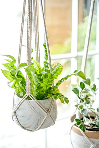 Dahey Macrame Plant Hanger Indoor Hanging Planter Basket Handmade Woven Cotton Rope Flower Pot Decorative Crochet Plant Holder Stand for Boho Home Decor No Tassels,35 Inch,Set of 2 - color: Ivory, size: 35Inch