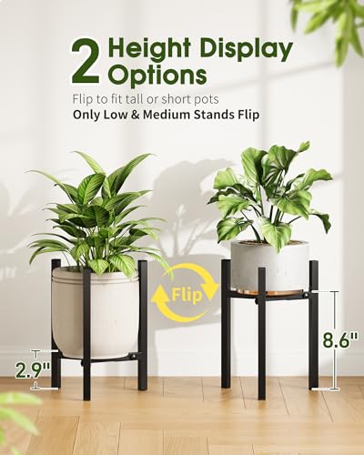 3 Pack Plant Stand Indoor Adjustable, Metal Modern Indoor Plant Stand, Heavy Duty Single Plant Stands Outdoor Corner, Stable Plant Holder Indoor Stand, Fits 8 to 12 Inches Pots, Black - color: Black, size: 3 Pack