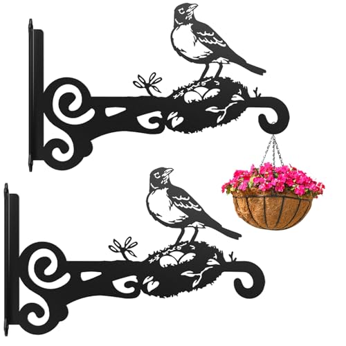 2-Pack Aesthetic Plant Hanger Indoor and Outdoor – 10 Inch Metal Hanging Plant Bracket with Beautiful Bird Pattern – Anti Rust Plant Hooks for Hanging Plants, Bird Feeder, Wind Chime, Lantern - size: 2-Pack Style 2