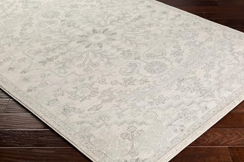 Livabliss Area Rugs - 2x3 Odelia Vintage Boho Gray Charcoal Area Rug for Living Room Bedroom - Floral Medallion Stain Resistant Carpet for Kitchen, Nursery, Office (2' x 3') - color: Beige, size: 2' x 3' (Rectangular)