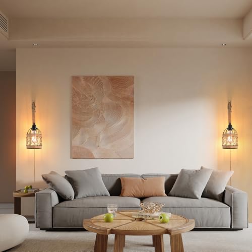 Plug in Wall Sconce,Farmhouse Wicker Wall Lamp Plug in,Hand Woven Rattan Wall Light Farmhouse Rustic Boho Sconces Wall Lighting for Living Room Bedroom - color: Birdcage, size: 1 PACK