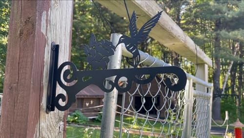 2-Pack 10 Inch Aesthetic Plant Hangers Outdoor – Metal Hanging Plant Bracket with Beautiful Hummingbird Pattern – Heavy Duty Plant Hooks for Hanging Plants, Bird Feeder, Wind Chime, Lantern - color: 2-Pack